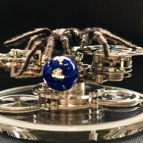 Image Not Found On Media Library